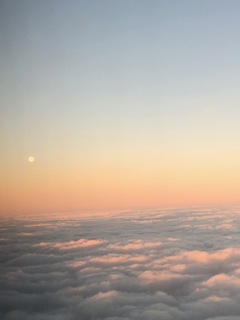 IMG_5019.JPG